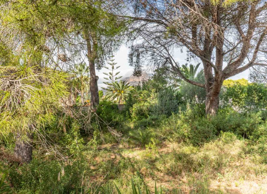 Reventa -  -
Jávea - Adsubia
