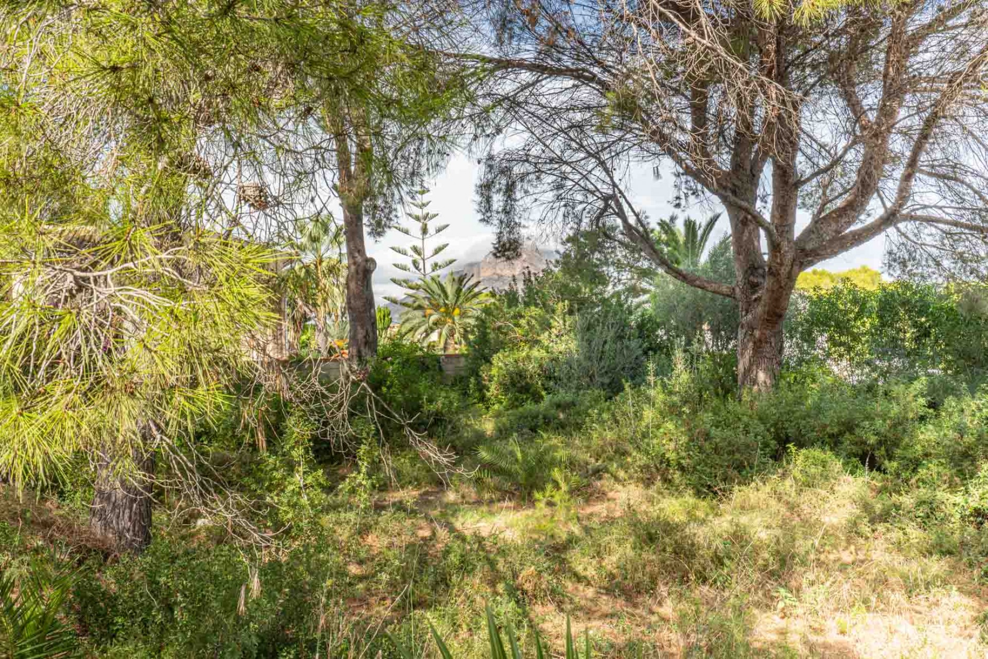 Reventa -  -
Jávea - Adsubia