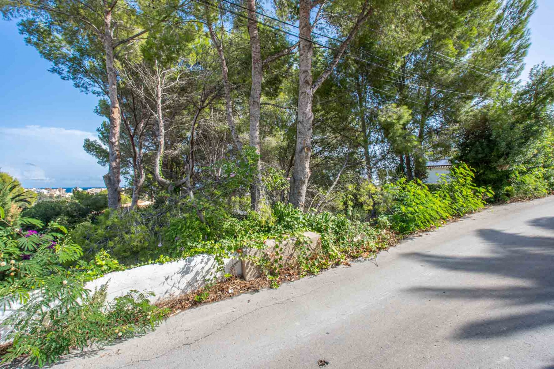 Reventa -  -
Jávea - Adsubia