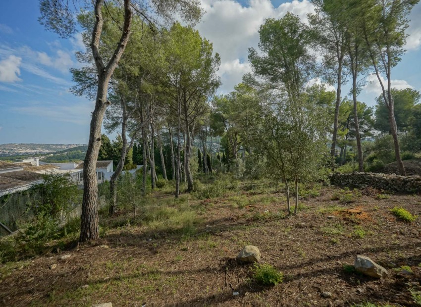 Reventa -  -
Jávea - La Lluca