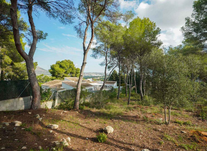 Reventa -  -
Jávea - La Lluca