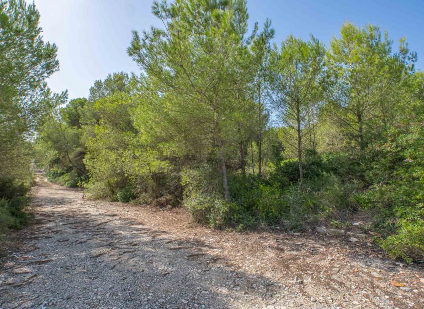 Reventa -  -
Jávea - Pinosol