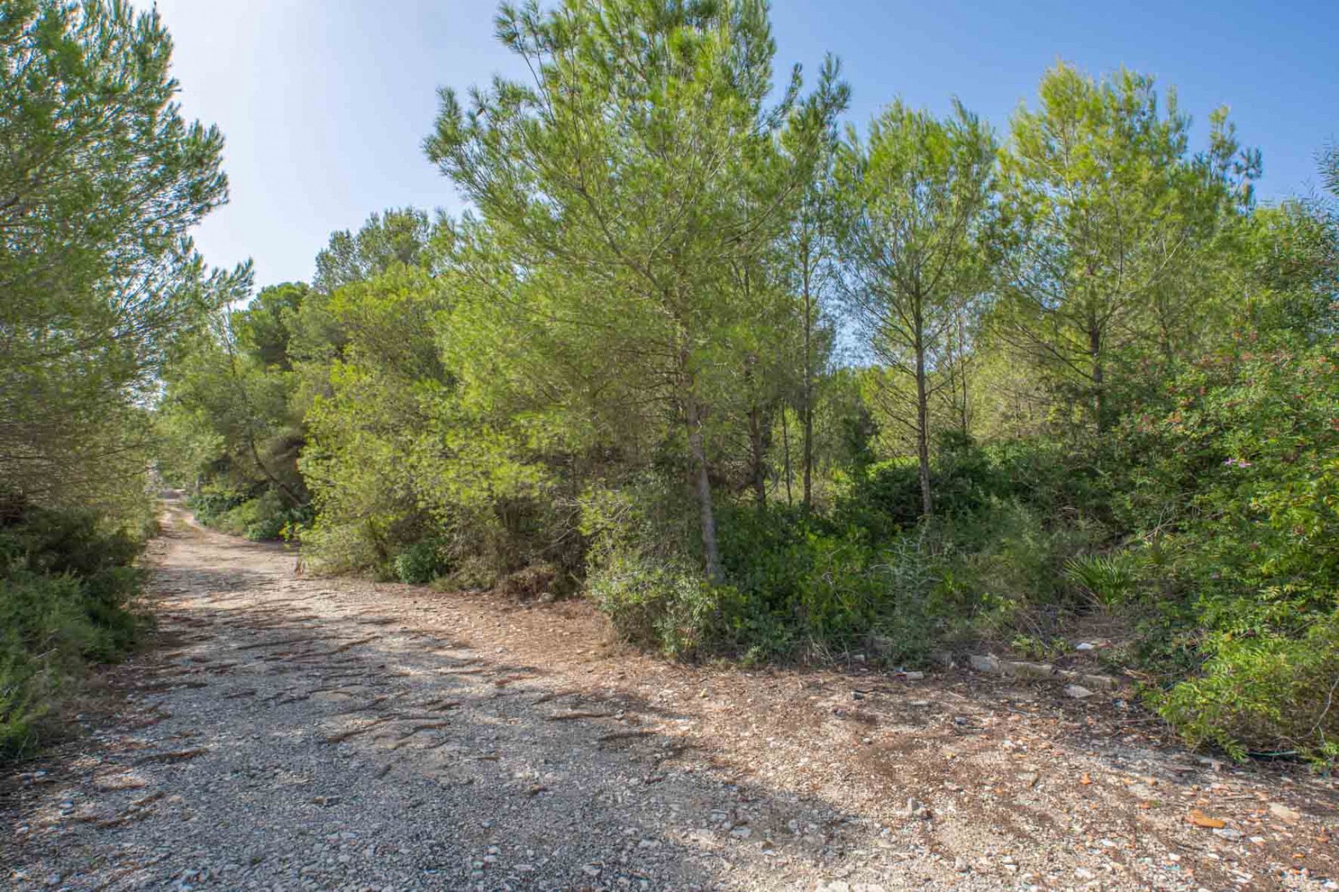 Reventa -  -
Jávea - Pinosol