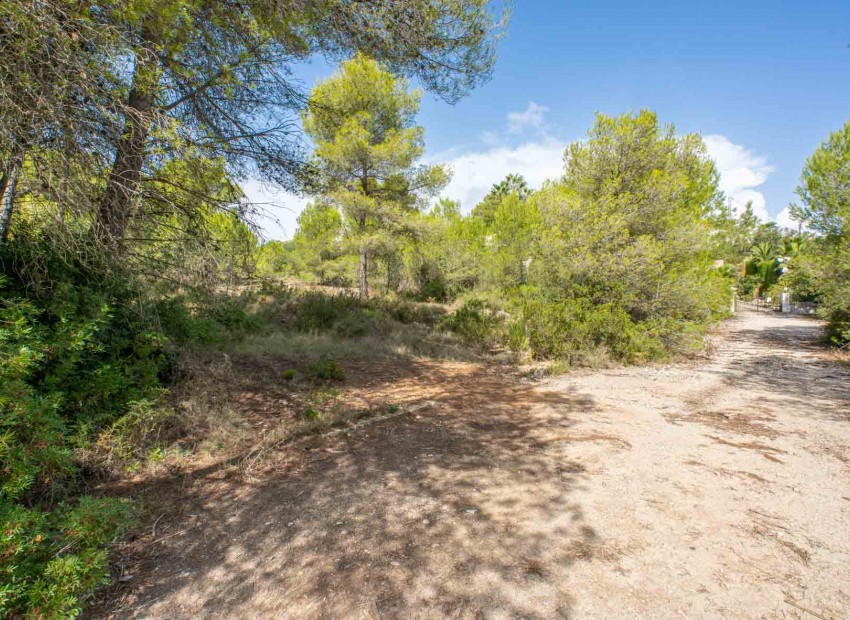 Reventa -  -
Jávea - Pinosol