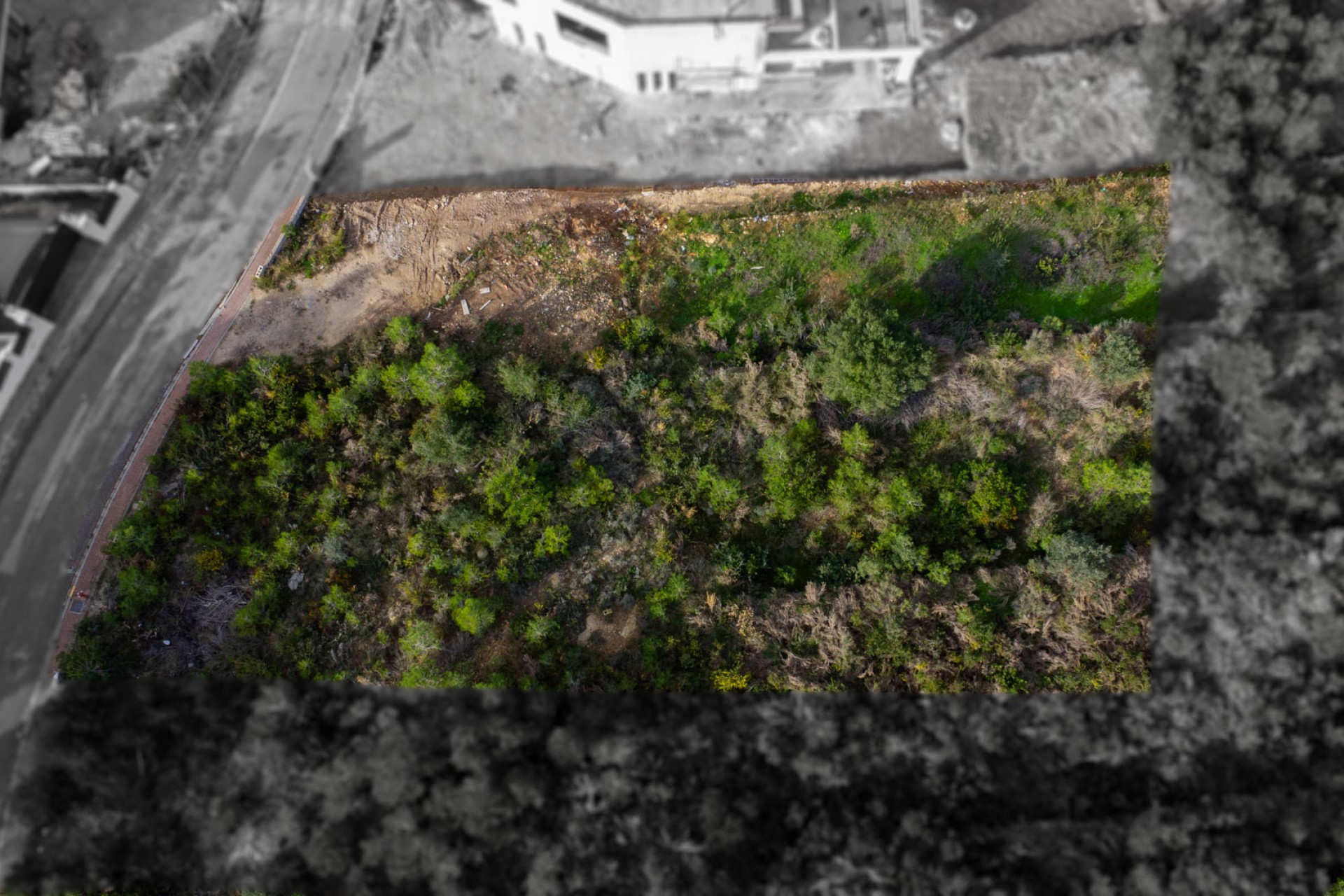 Reventa -  -
Jávea - Villes del Vent