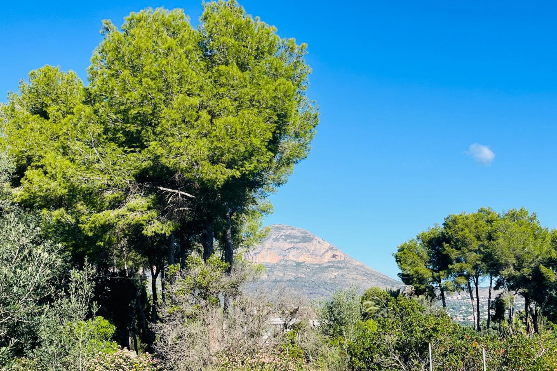 Reventa -  -
Jávea / Xàbia - Partides comunes - Adsubia