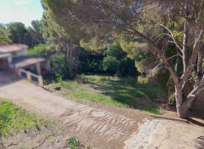 Reventa -  -
Moraira - Paichi