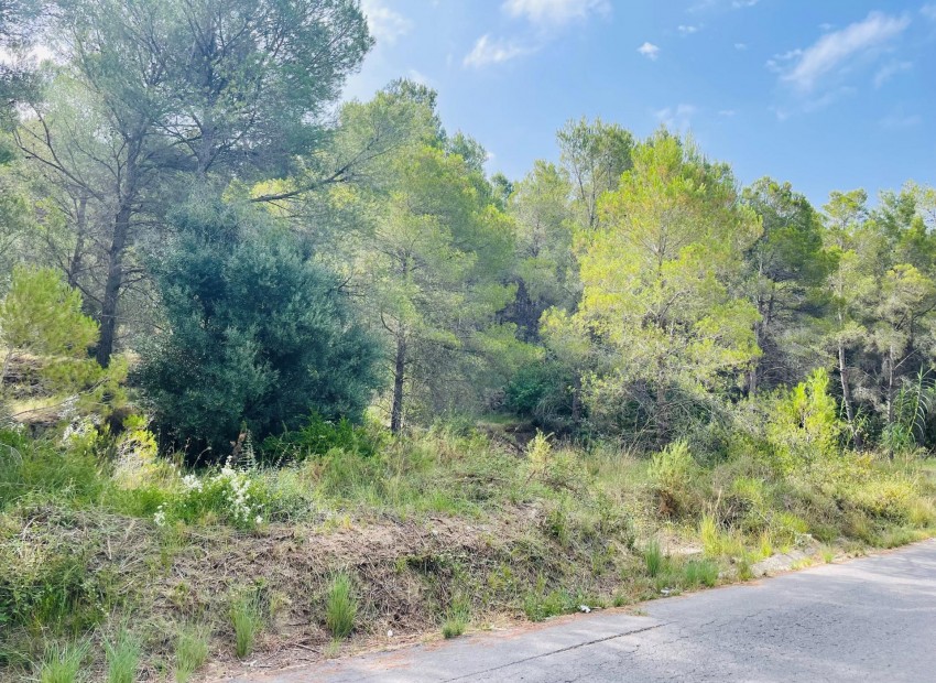 Reventa - Parcela -
Altea la Vella