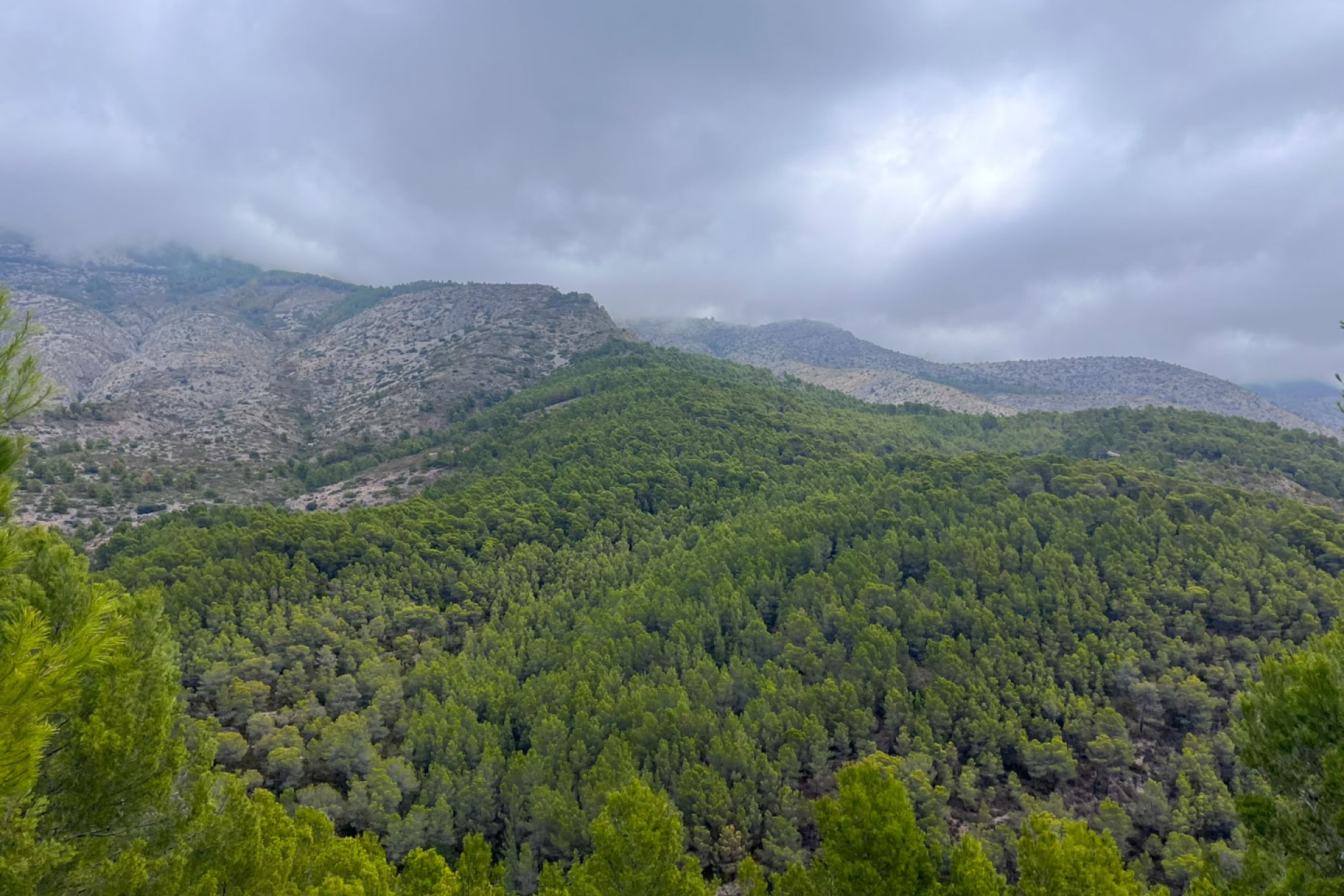 Reventa - Parcela -
Altea - Urbanización Santa Clara