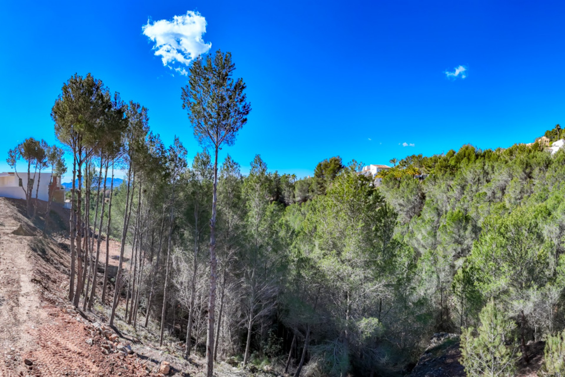 Reventa - Parcela -
Altea