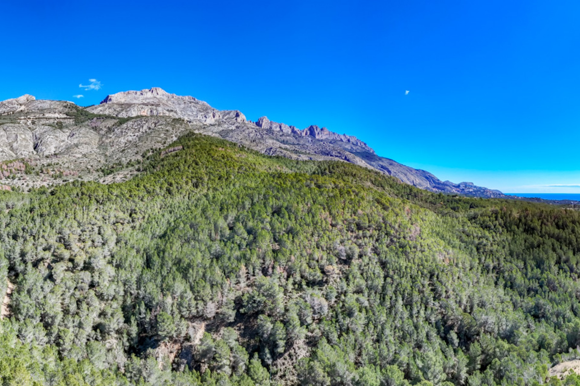Reventa - Parcela -
Altea