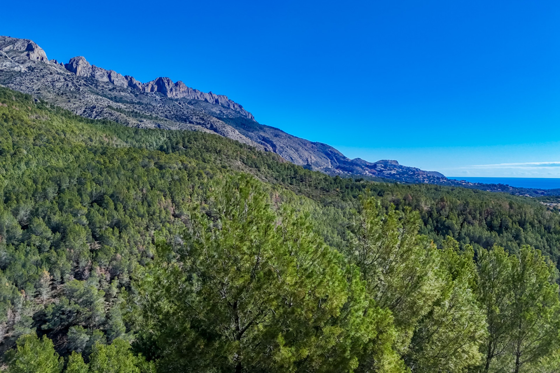 Reventa - Parcela -
Altea