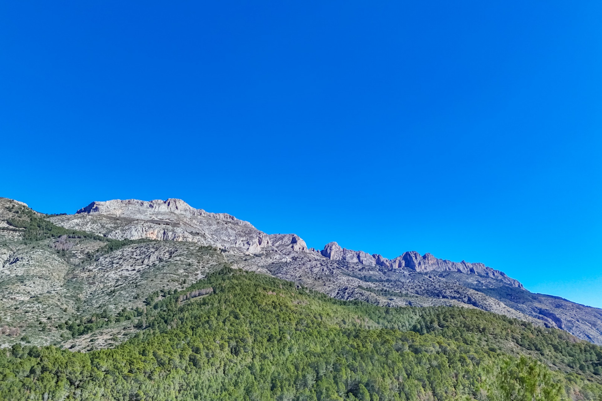 Reventa - Parcela -
Altea