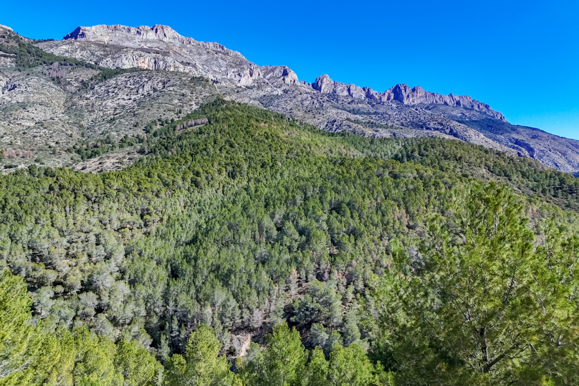 Reventa - Parcela -
Altea