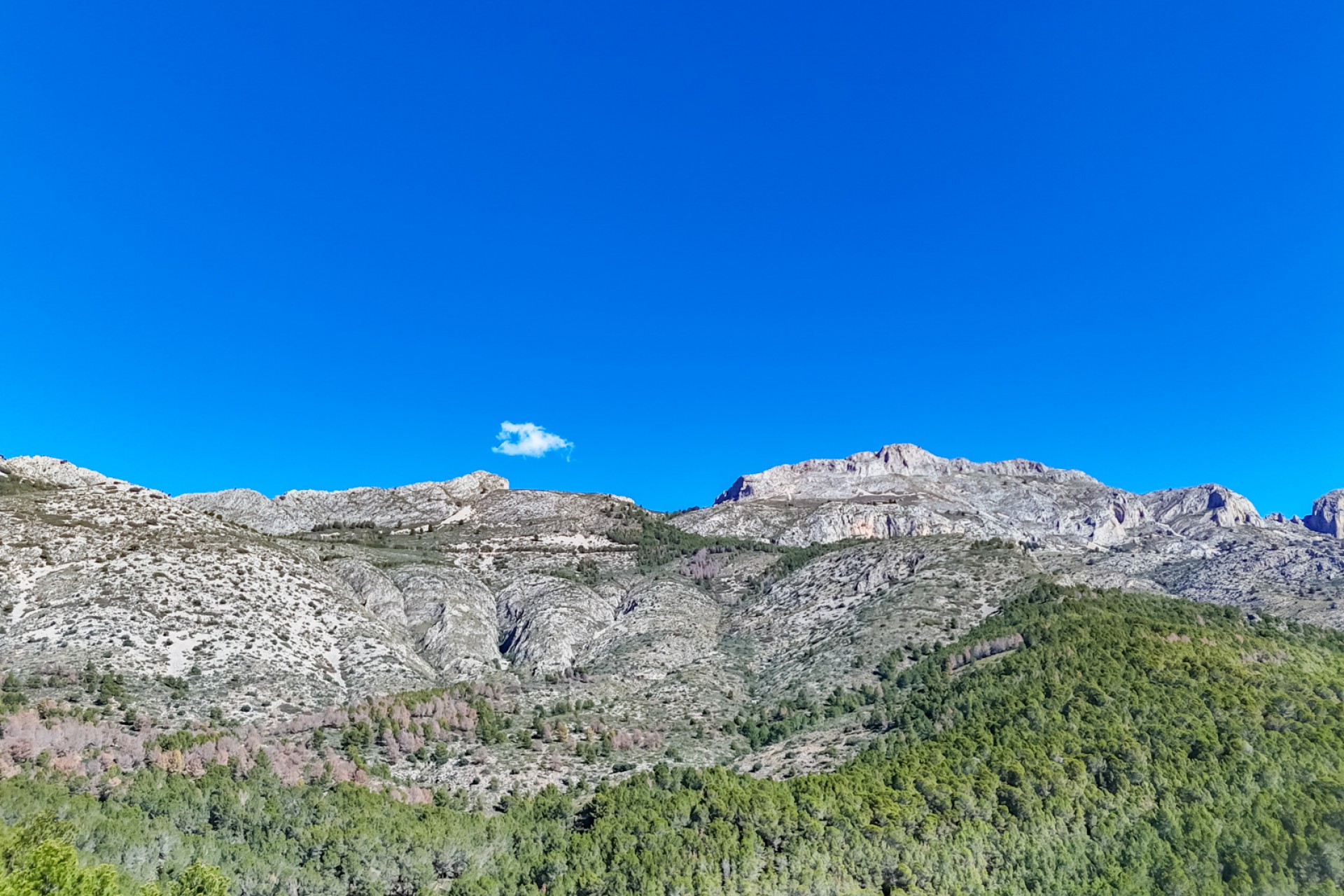 Reventa - Parcela -
Altea