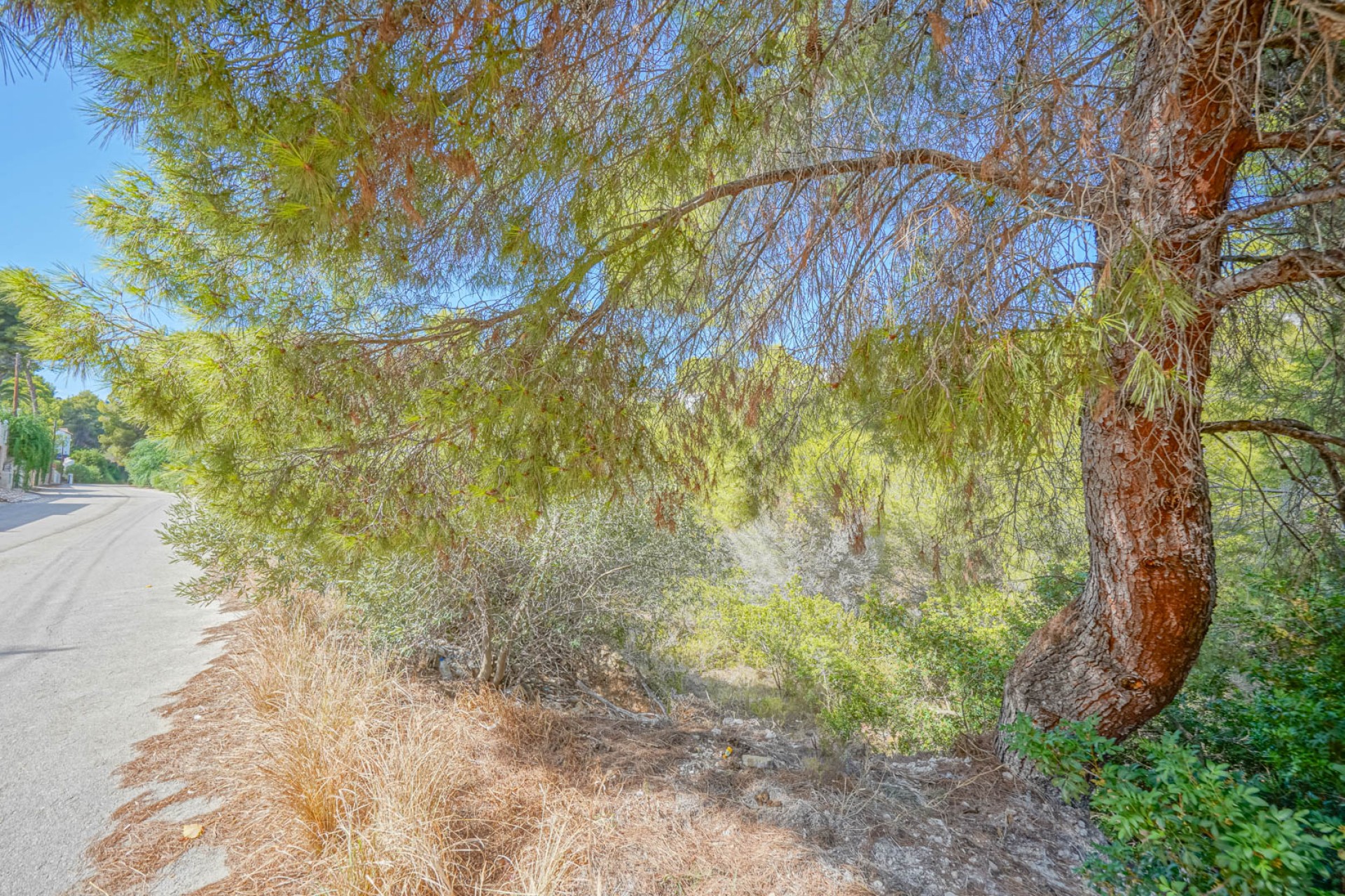 Reventa - Parcela -
Benissa - Cala Baladrar