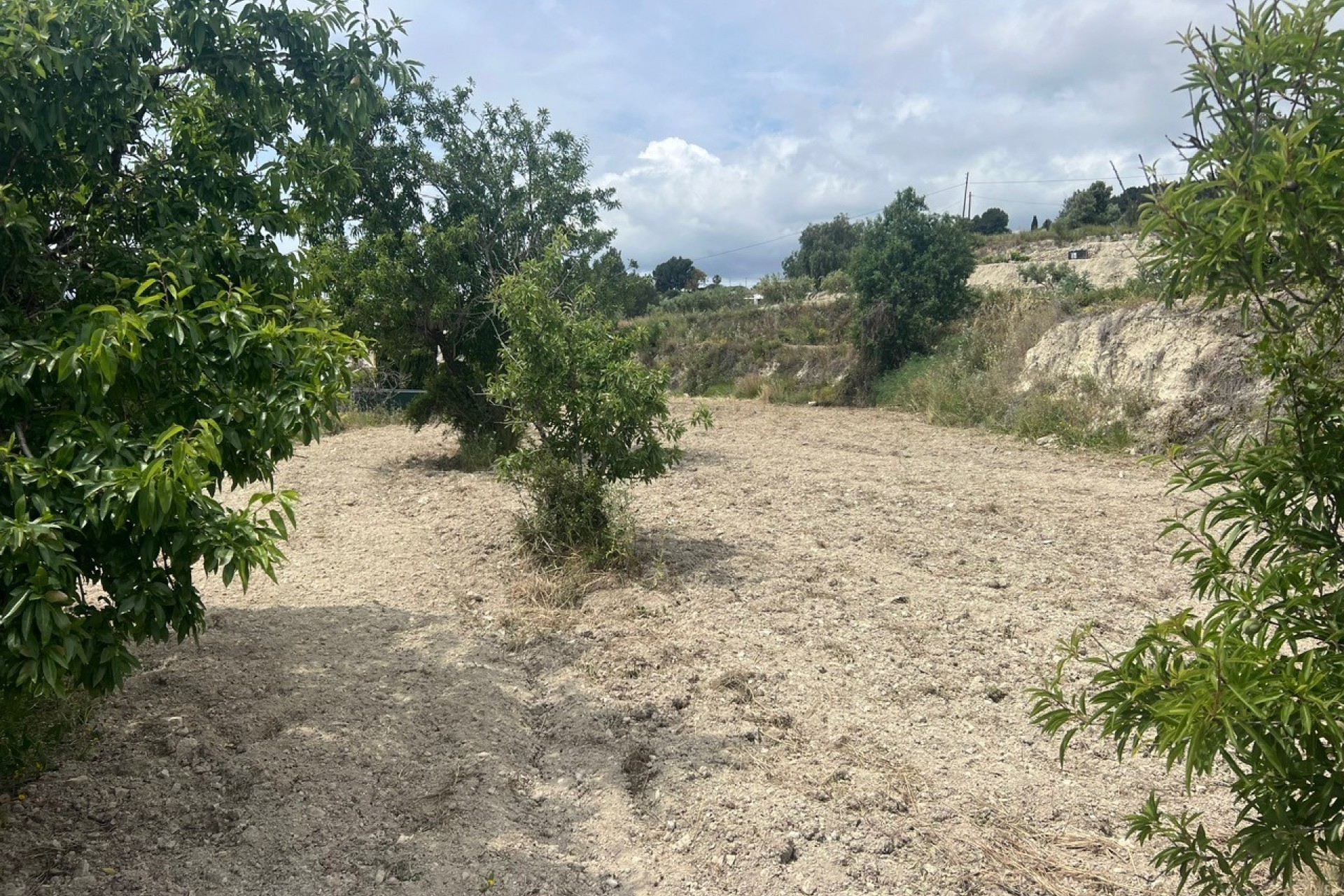Reventa - Parcela -
Benissa