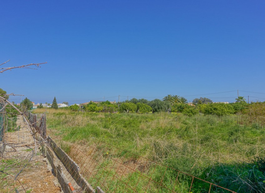 Reventa - Parcela -
Els Poblets - Almadrava