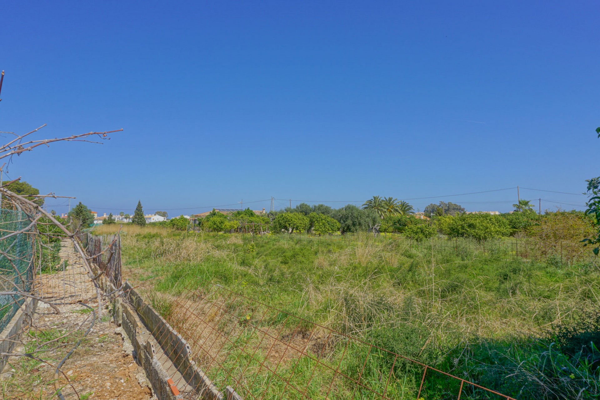 Reventa - Parcela -
Els Poblets - Almadrava