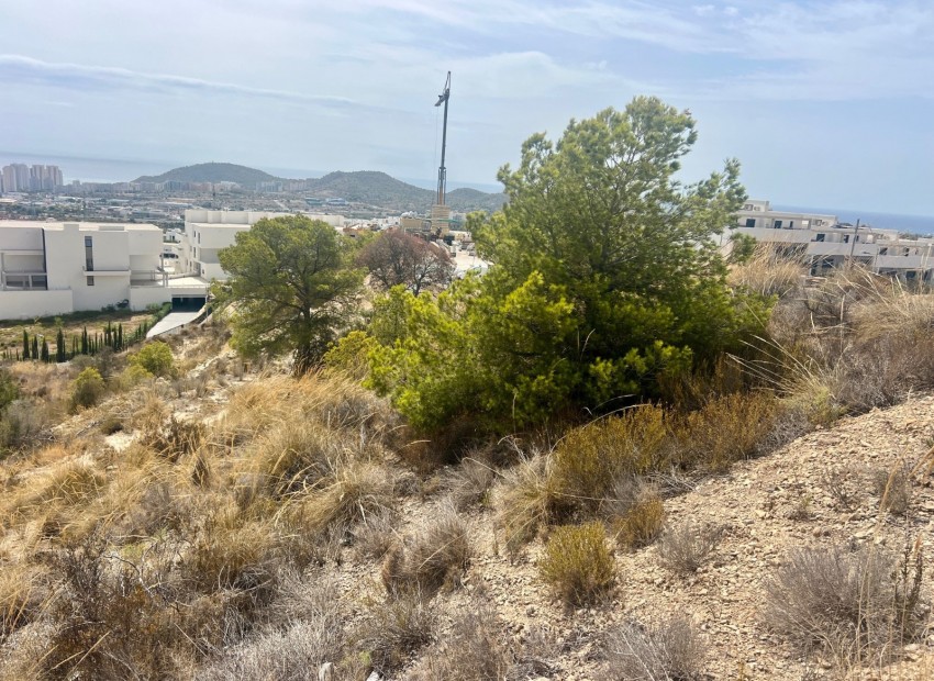 Reventa - Parcela -
Finestrat