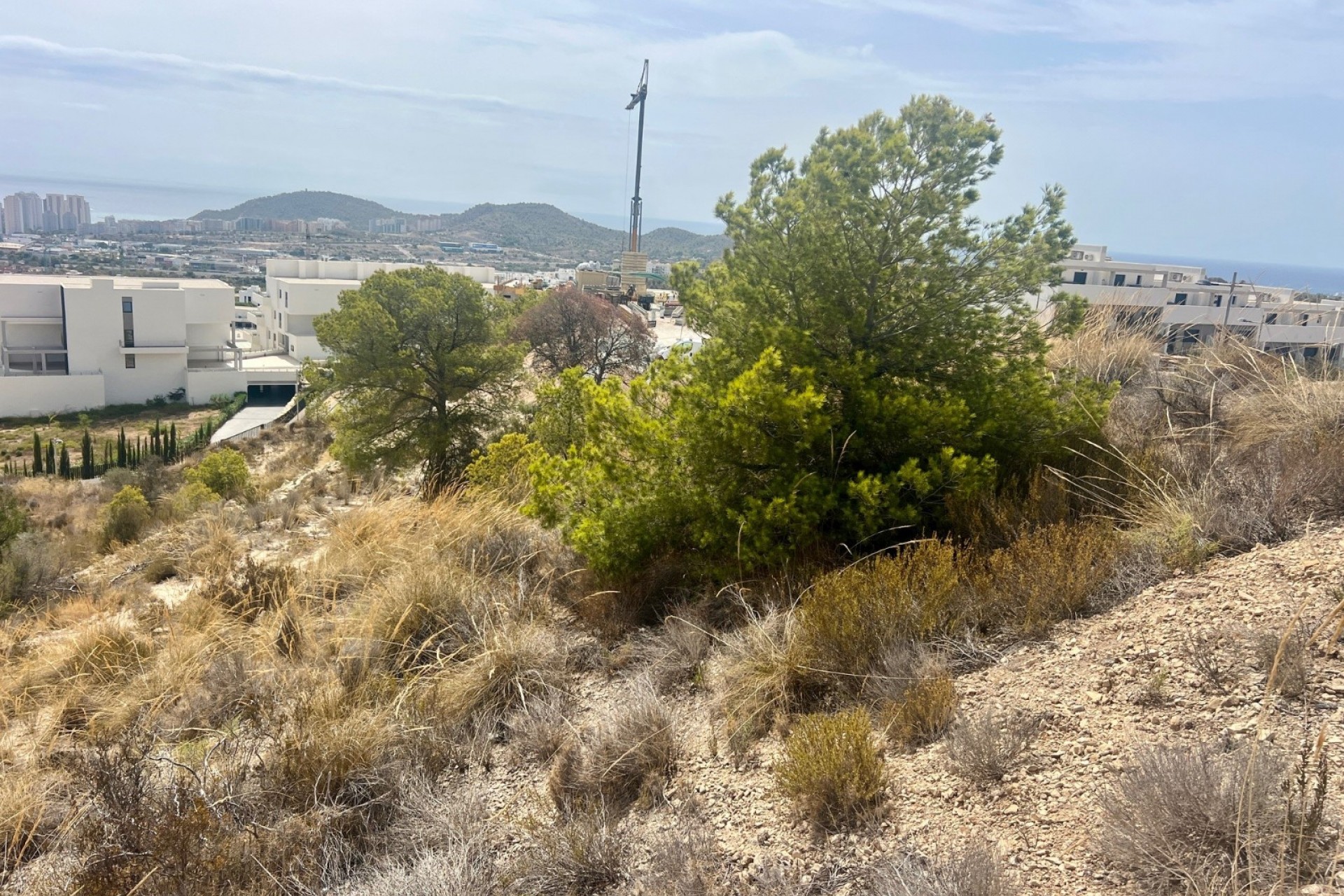 Reventa - Parcela -
Finestrat