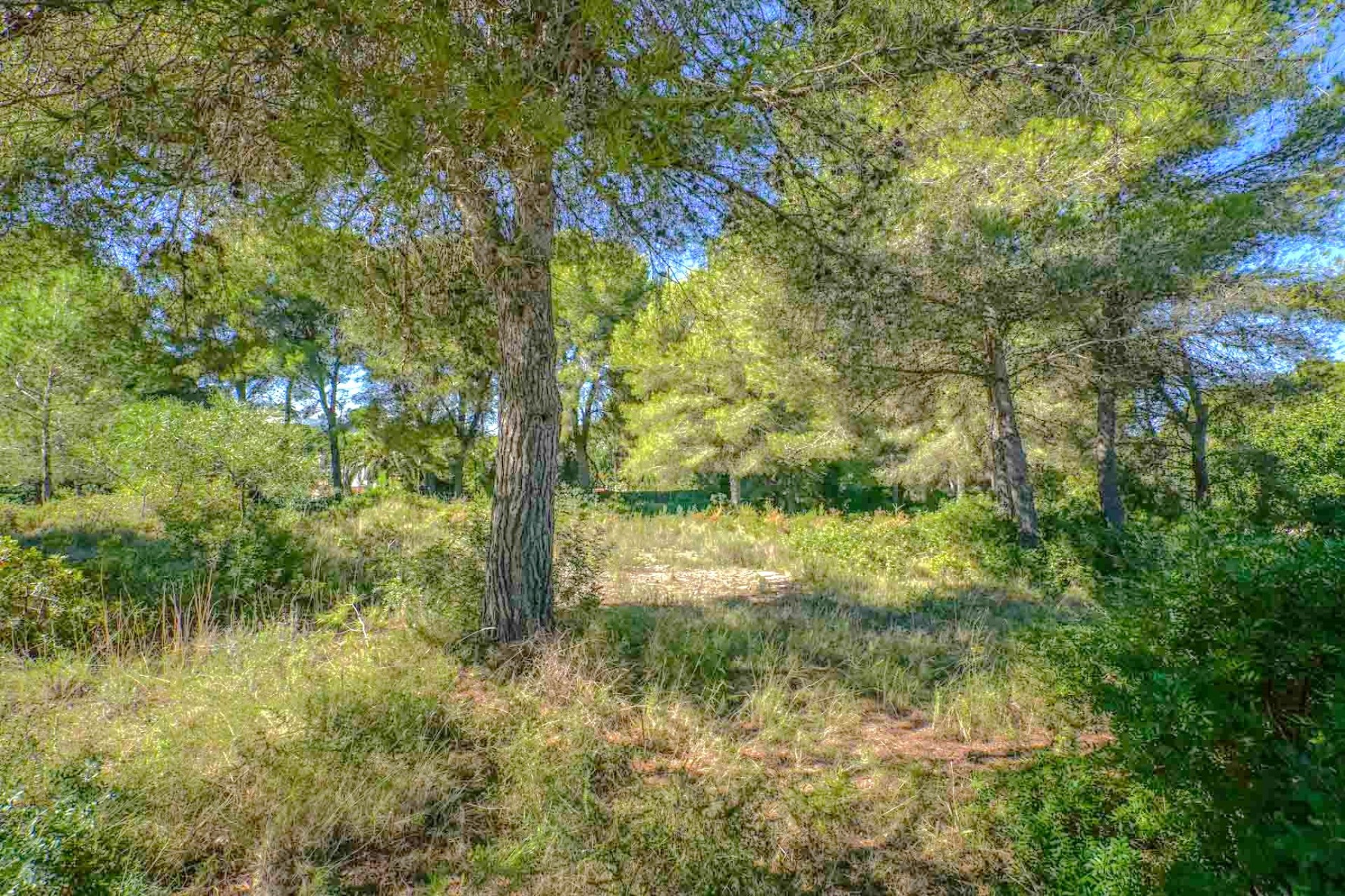 Reventa - Parcela -
Jávea - Portichol