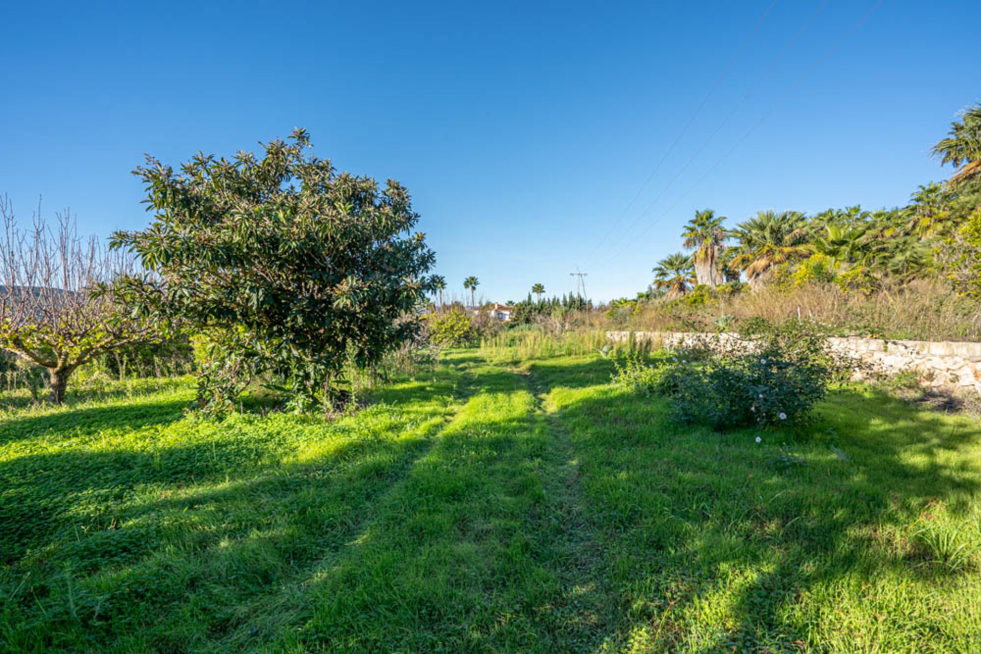 Reventa - Parcela -
Jávea - Valls