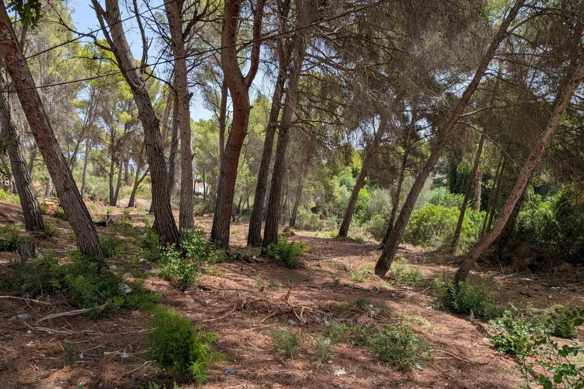 Reventa - Parcela -
Moraira - Pinar del Advocat