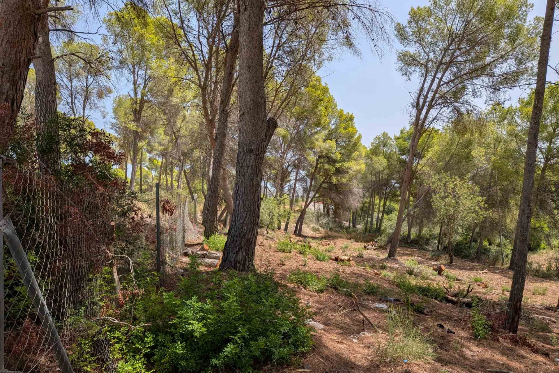 Reventa - Parcela -
Moraira - Pinar del Advocat