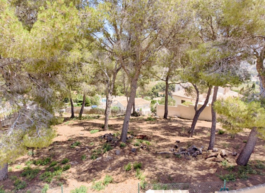 Reventa - Parcela -
Moraira