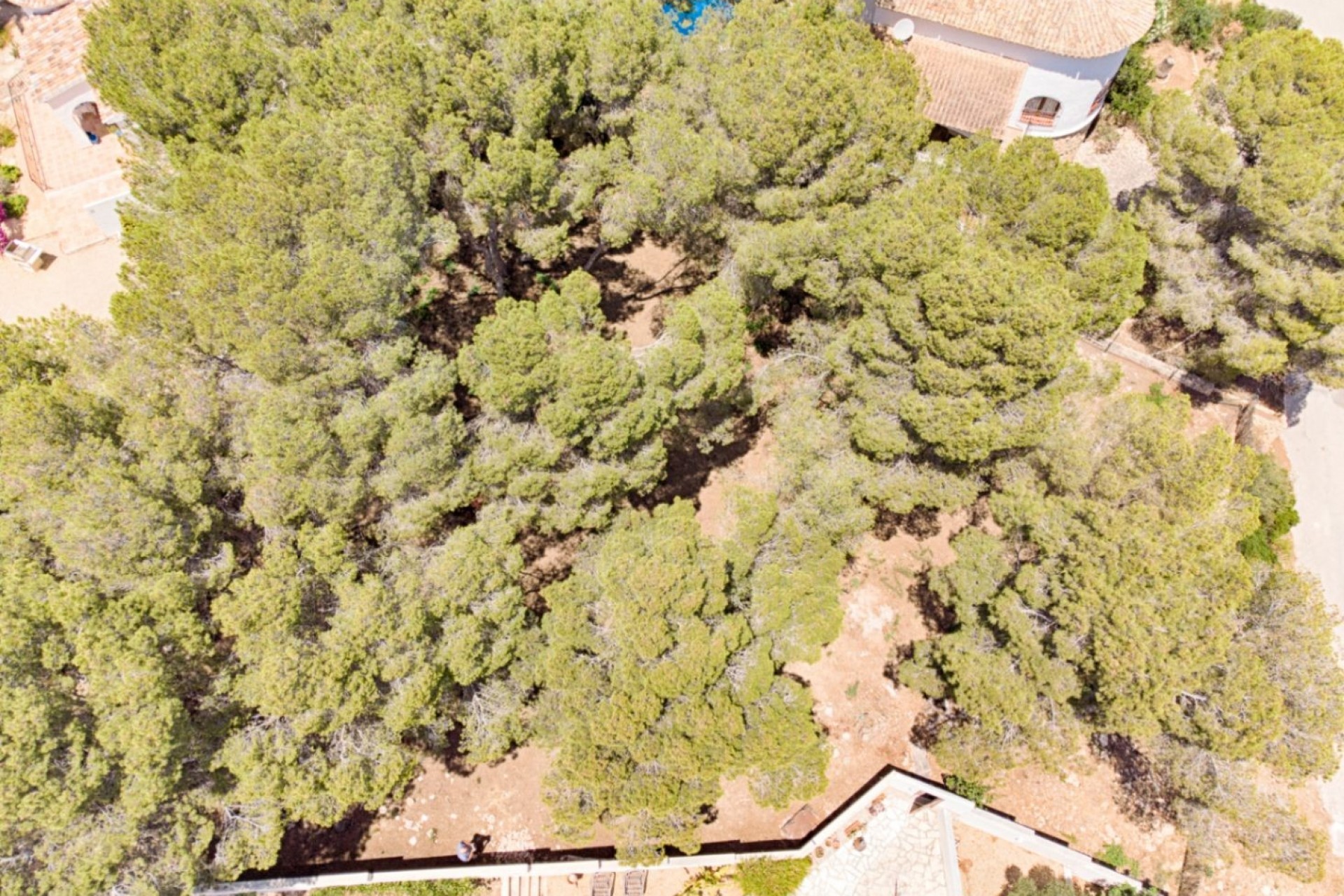 Reventa - Parcela -
Moraira