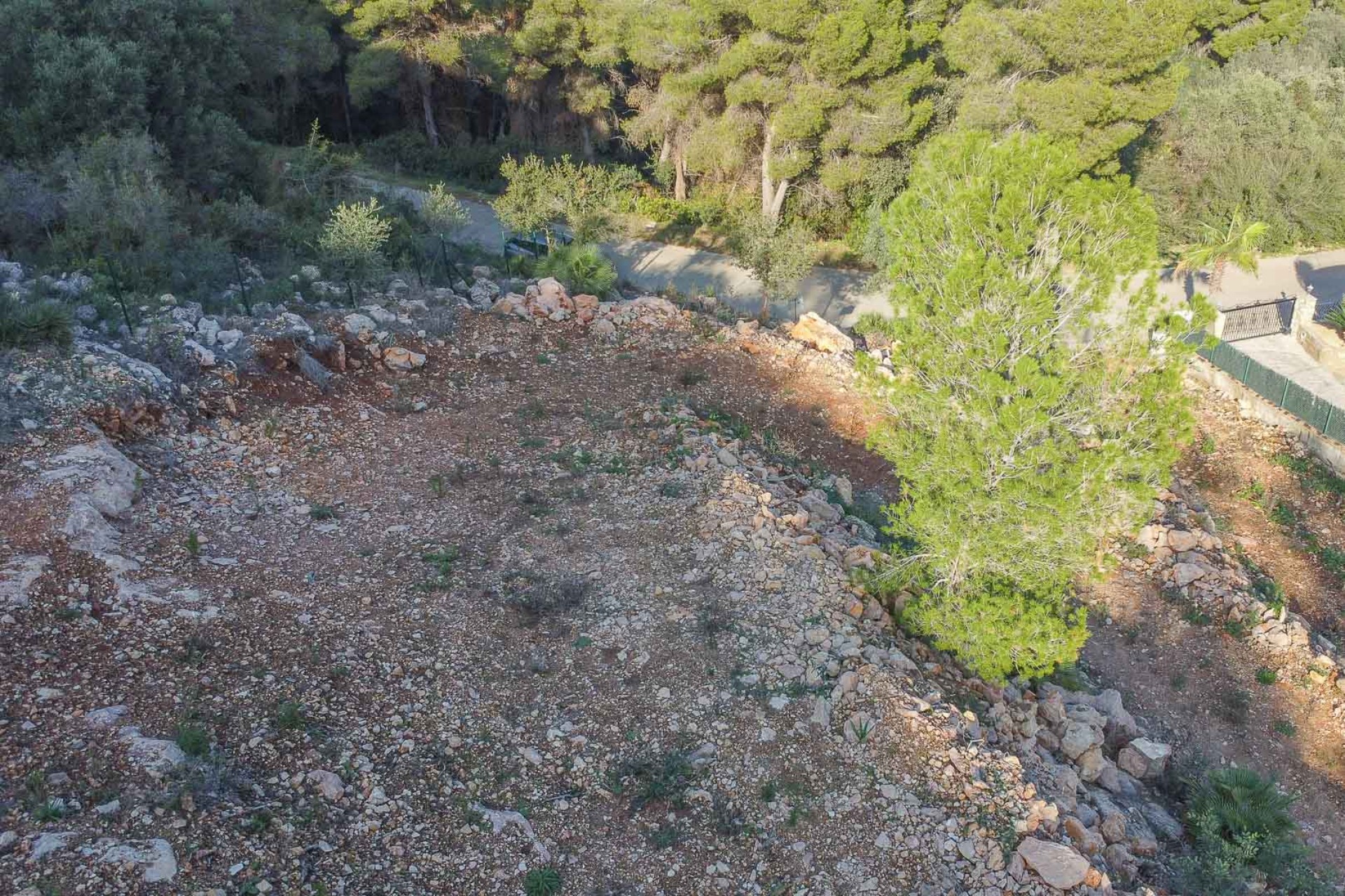 Reventa - Parcela -
Pego - Monte Pego