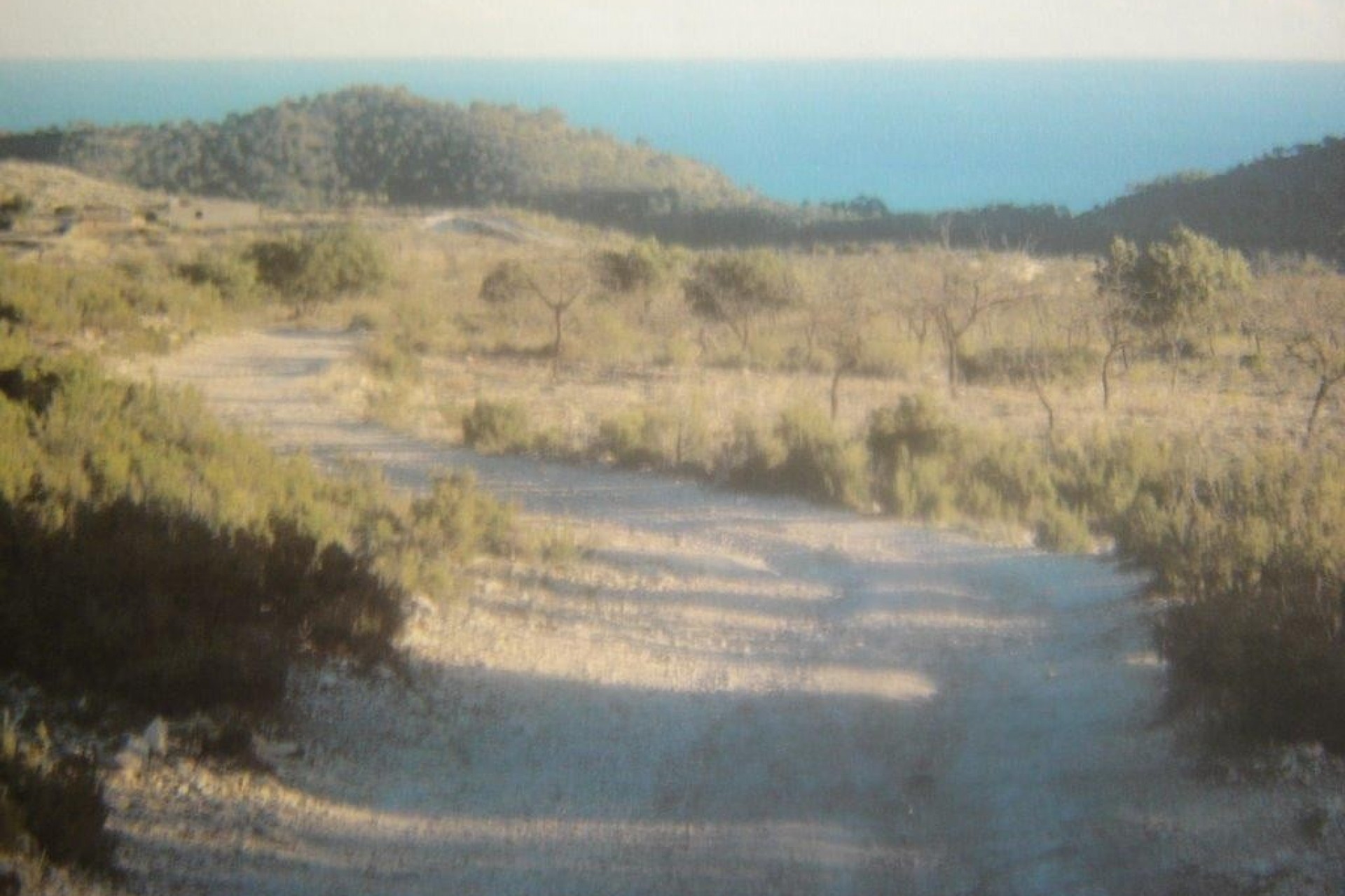 Reventa - Parcela -
Relleu - relleu