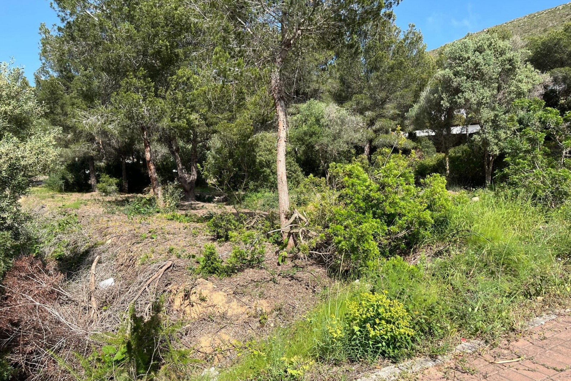 Reventa - Suelo urbano -
Jávea / Xàbia - Cap Martí - El Tossalet - Pinomar