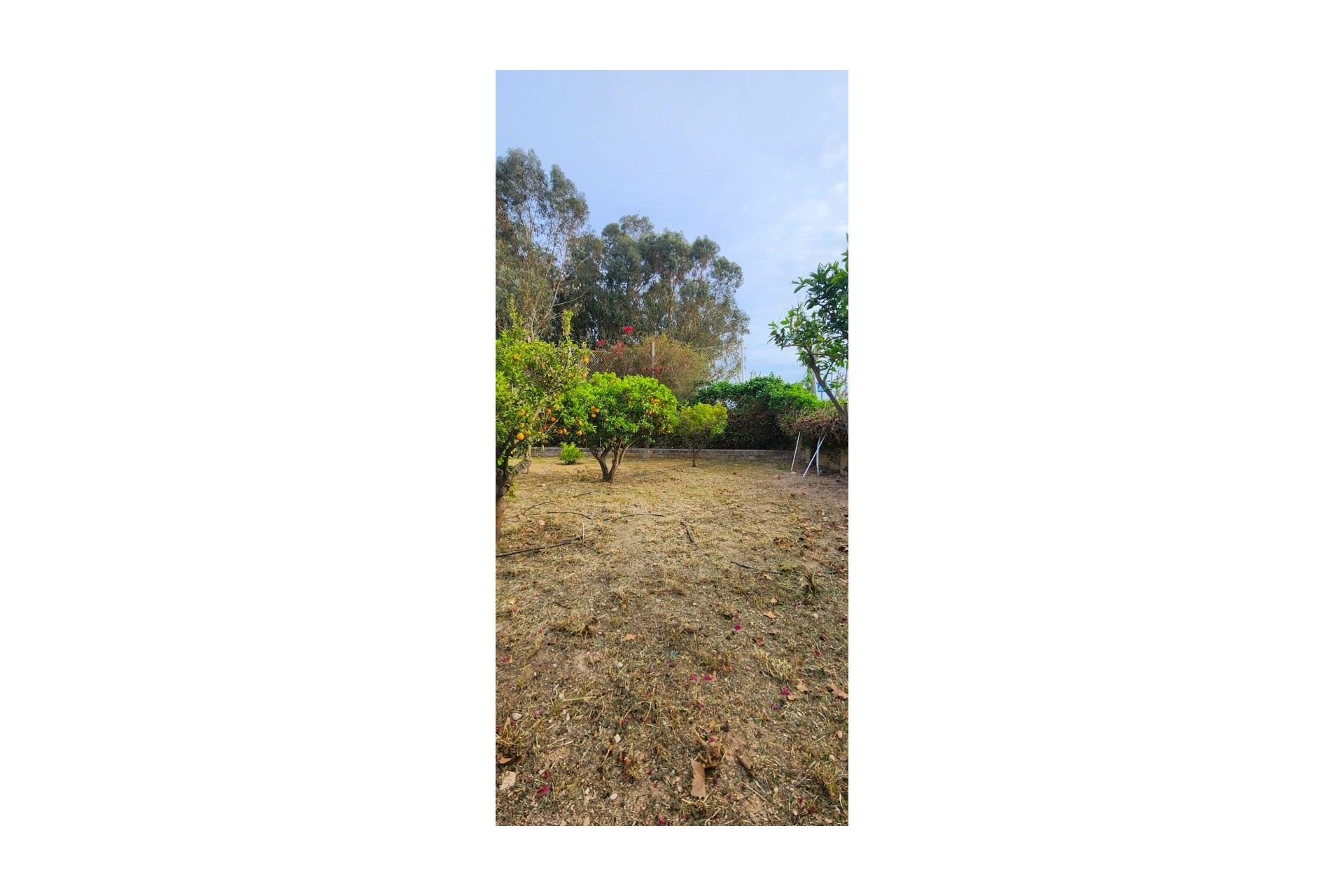 Reventa - Villa -
Albir - Center