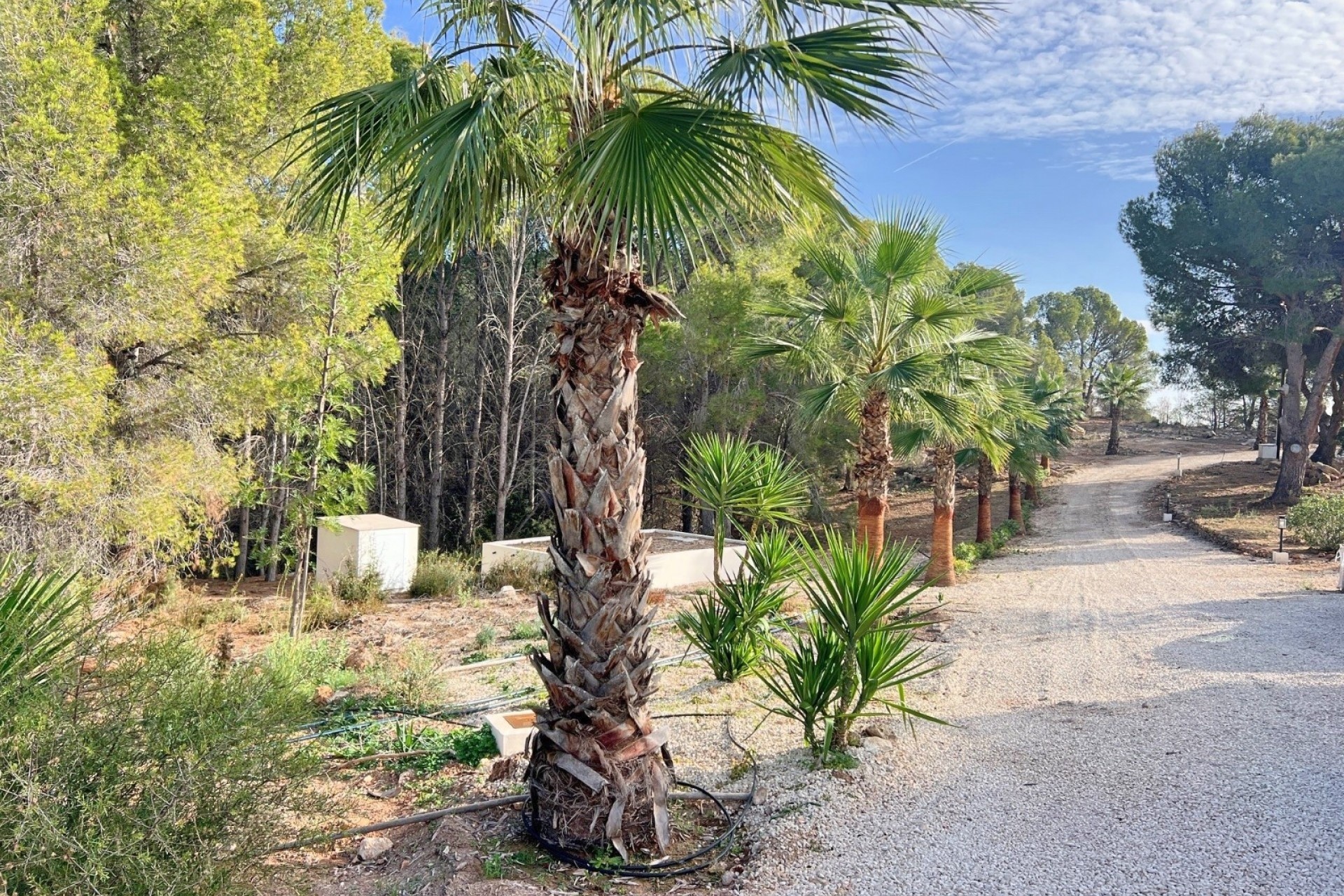 Reventa - Villa -
Altea - Altea ciudad