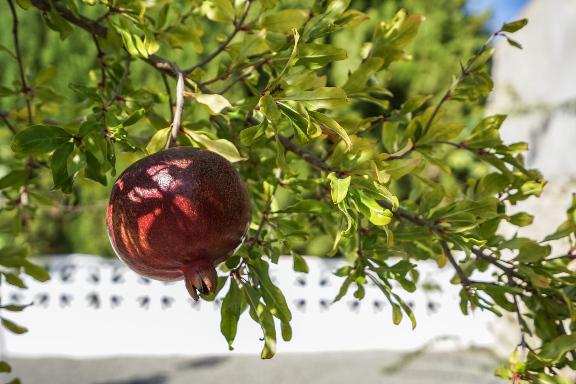 Reventa - Villa -
Benissa - La Fustera