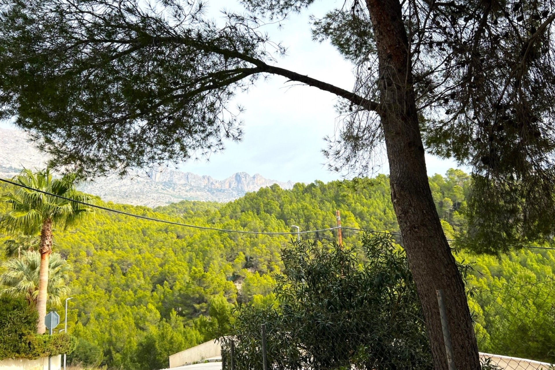 Reventa - Villa -
Callosa De Ensarrià