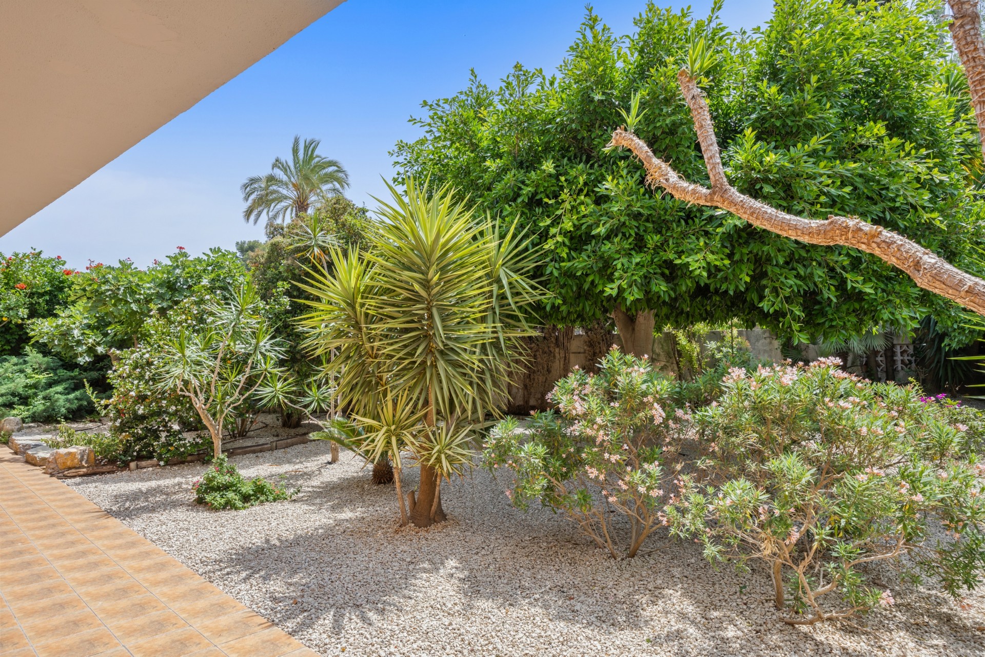 Reventa - Villa -
Denia - El Puerto