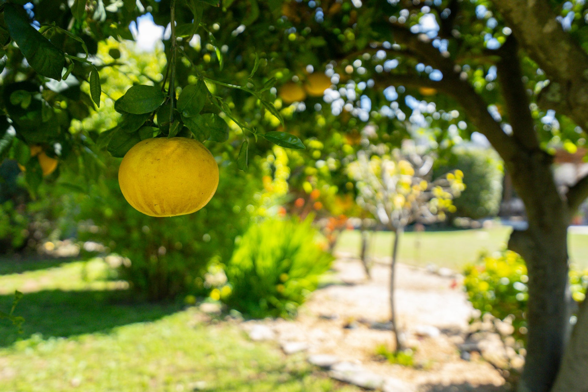 Reventa - Villa -
Denia - La Xara