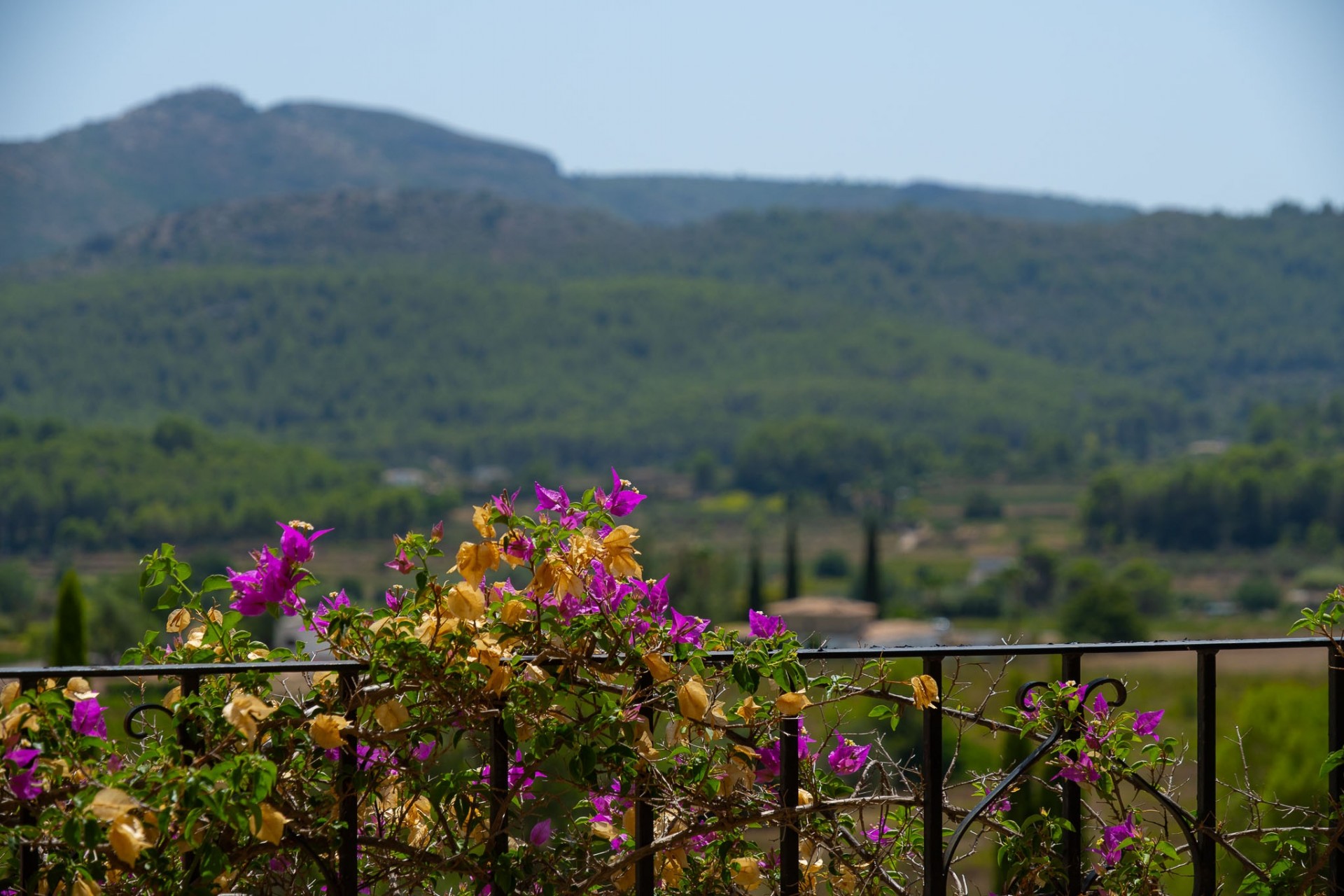 Reventa - Villa -
Jalón - La Almazara