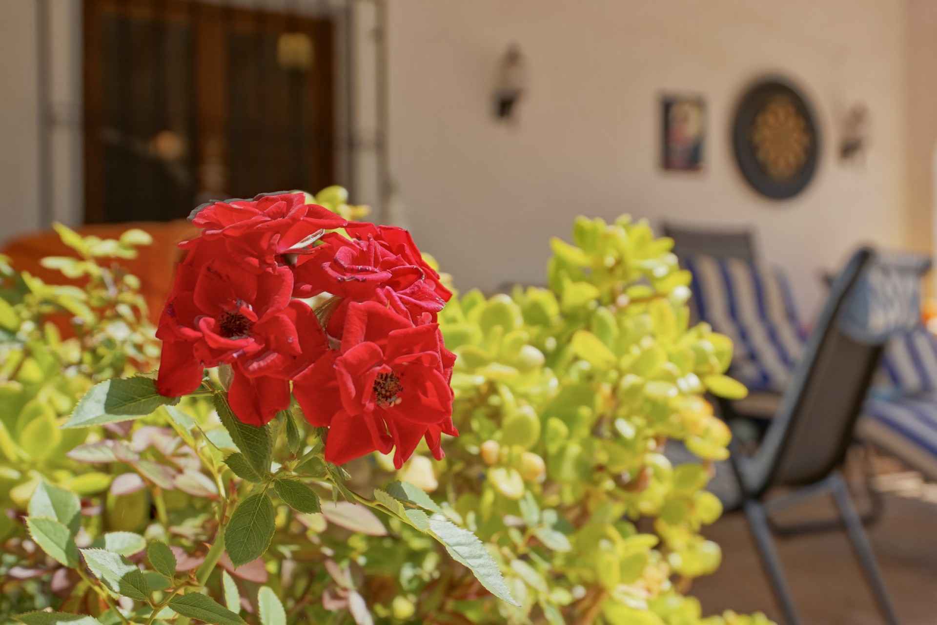 Reventa - Villa -
Jávea - Sol del este