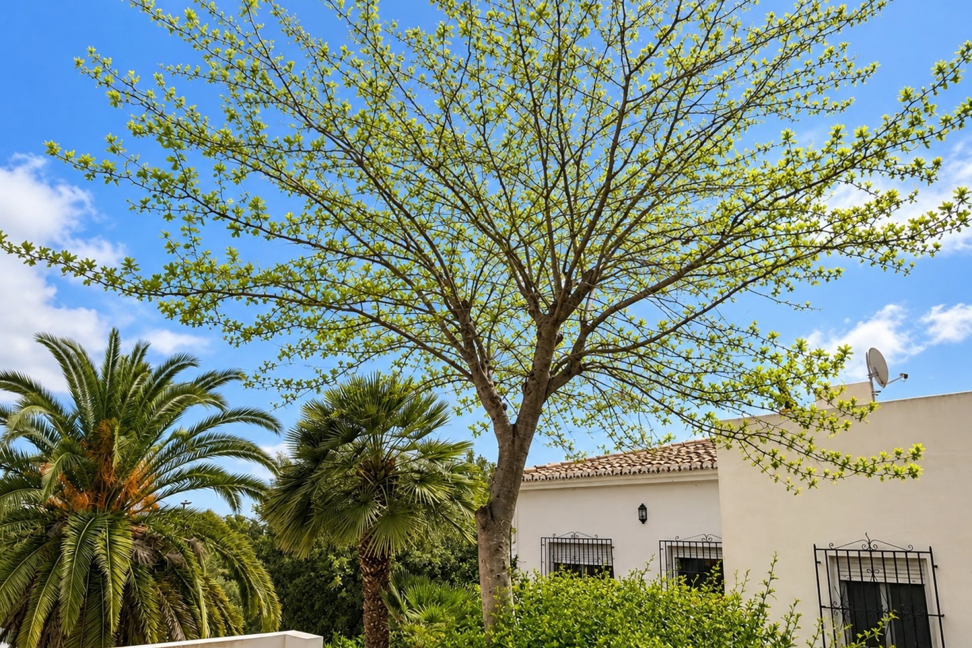Reventa - Villa -
Jávea / Xàbia - Cap Martí - El Tossalet - Pinomar