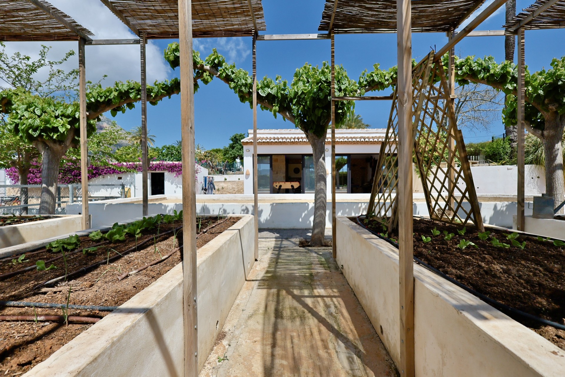Reventa - Villa -
Jávea / Xàbia - Partida Tosal - Zona dels Castellans