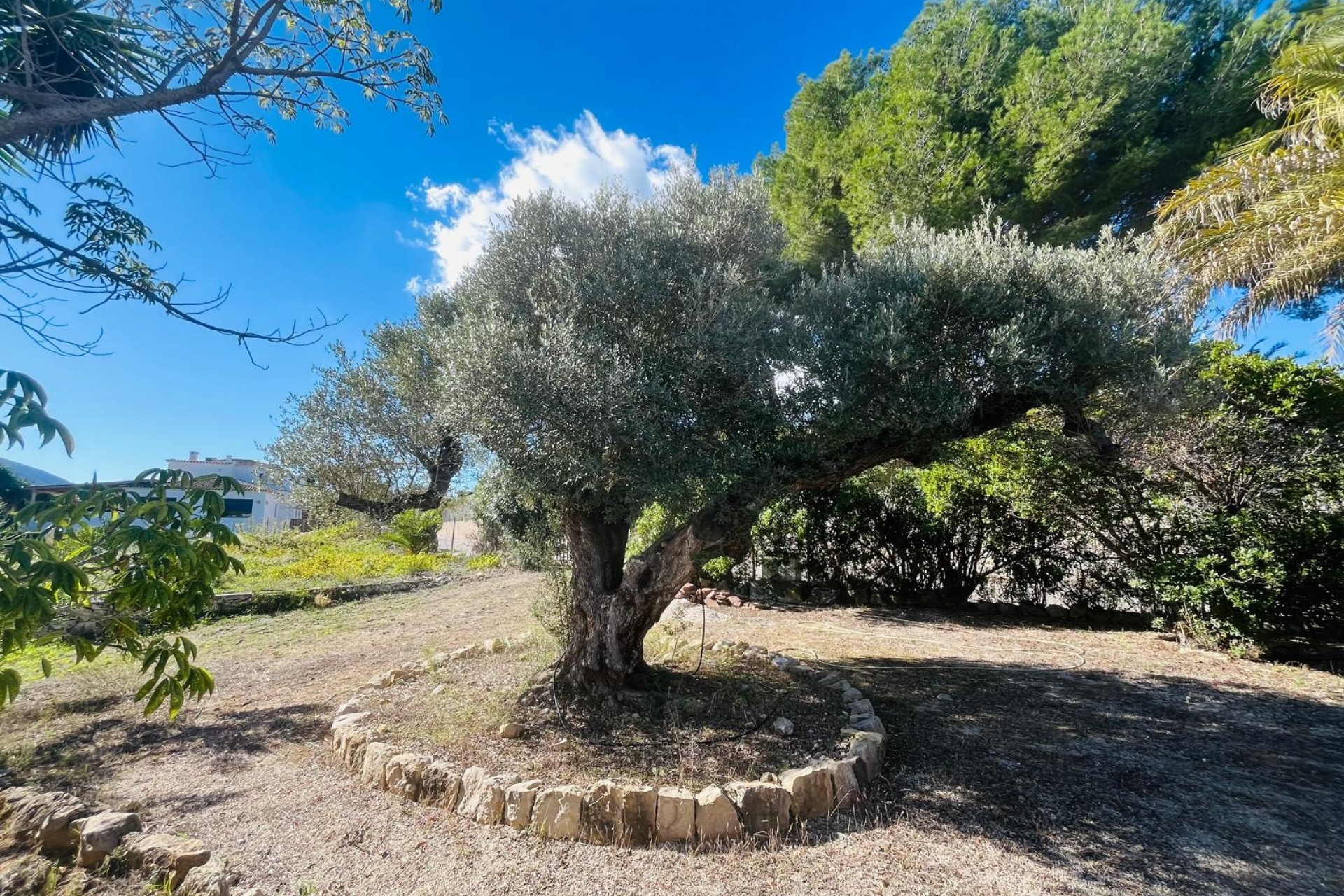 Reventa - Villa -
Jávea / Xàbia - Partides comunes - Adsubia