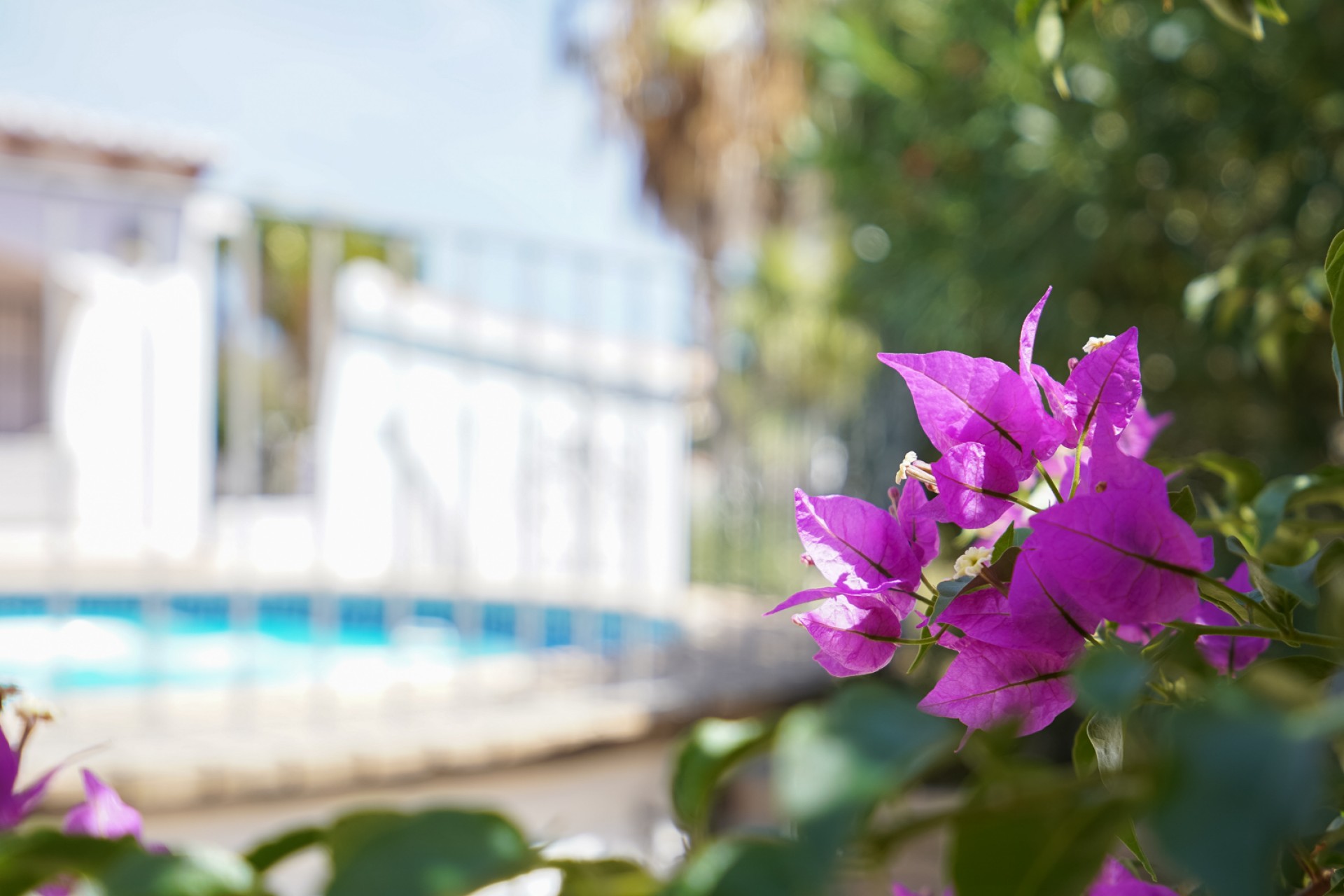 Reventa - Villa -
Jávea