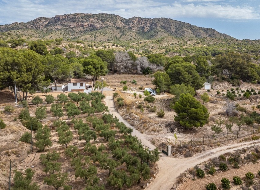 Reventa - Villa -
LA TERCIA - La Tercia