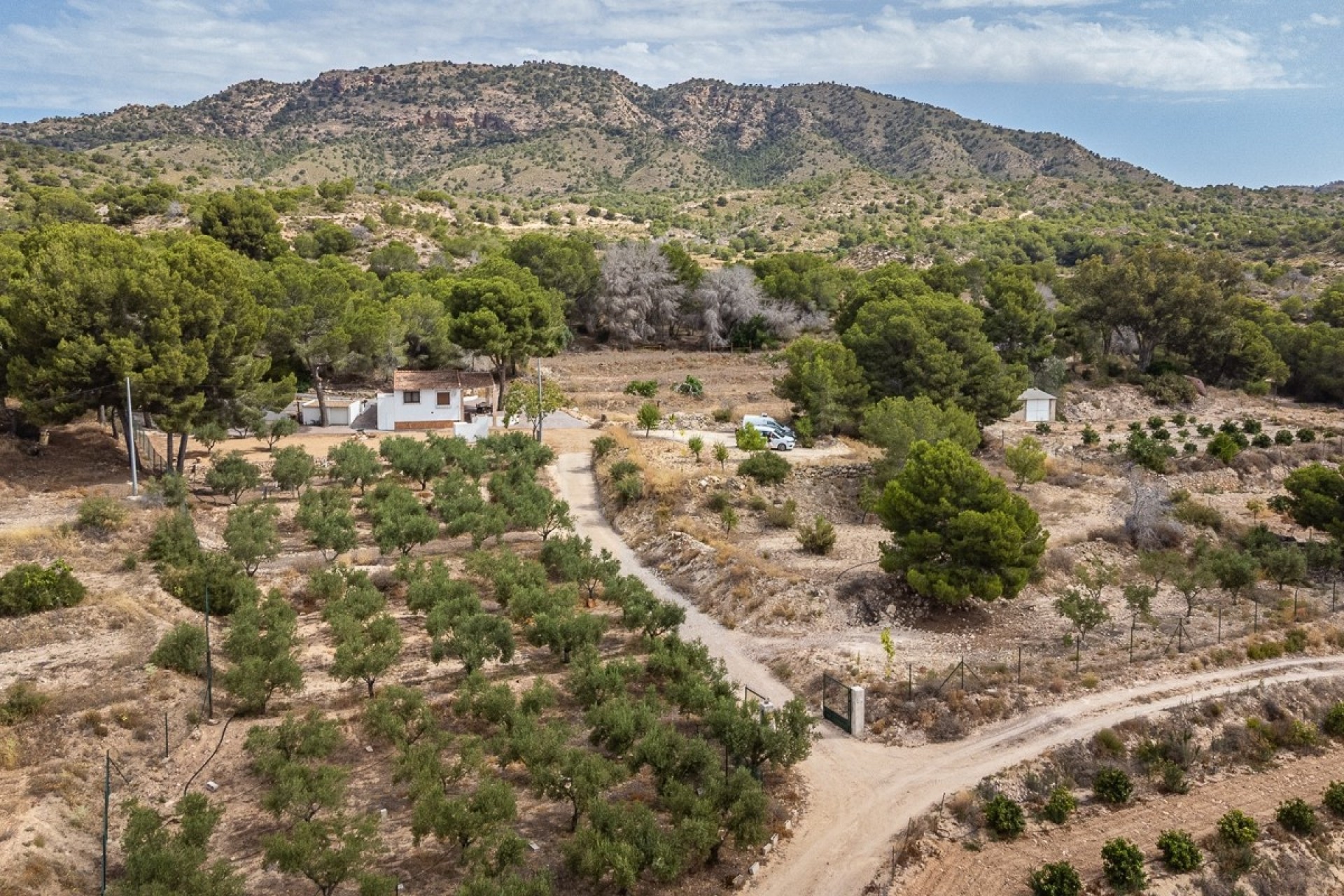 Reventa - Villa -
LA TERCIA - La Tercia