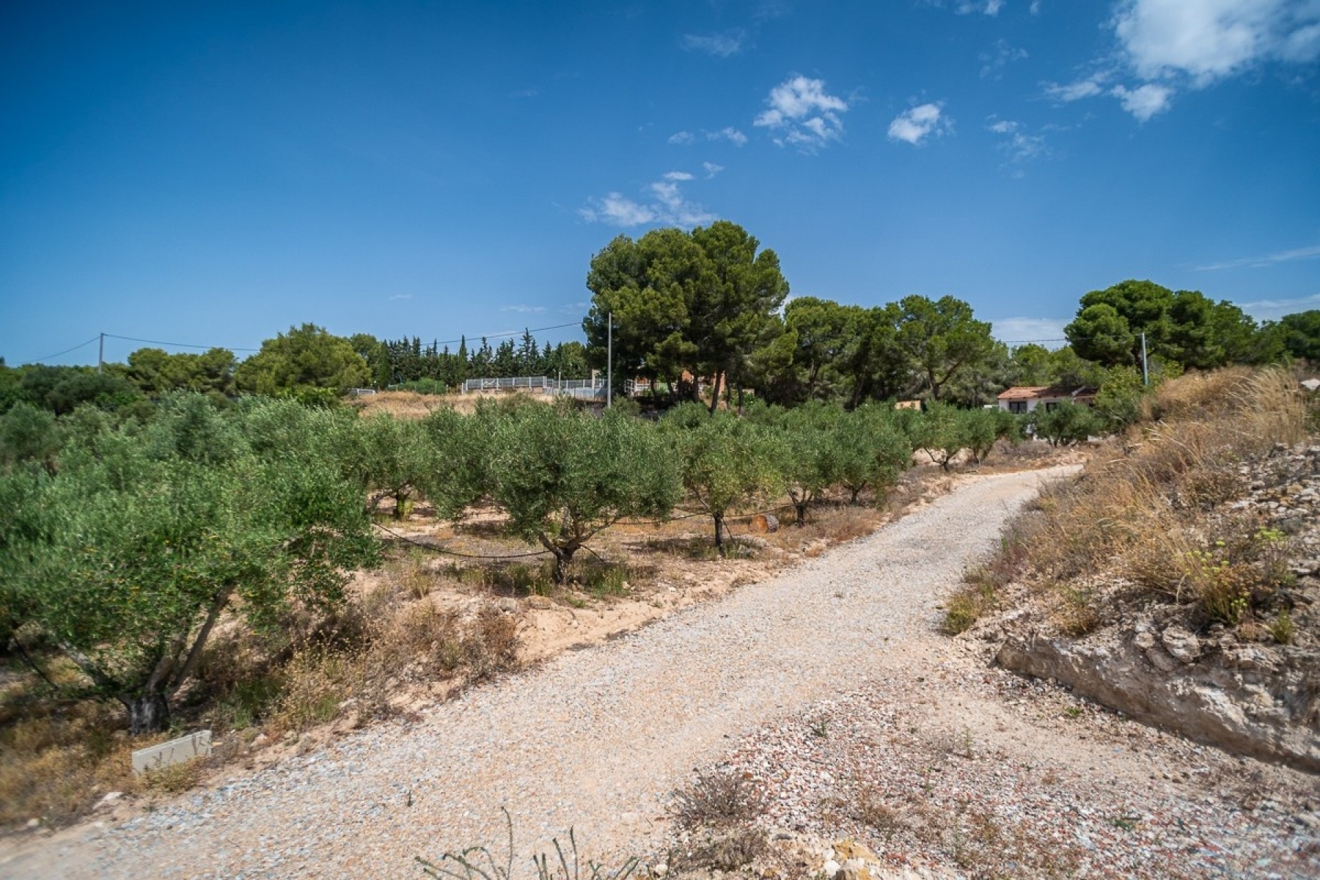 Reventa - Villa -
LA TERCIA - La Tercia