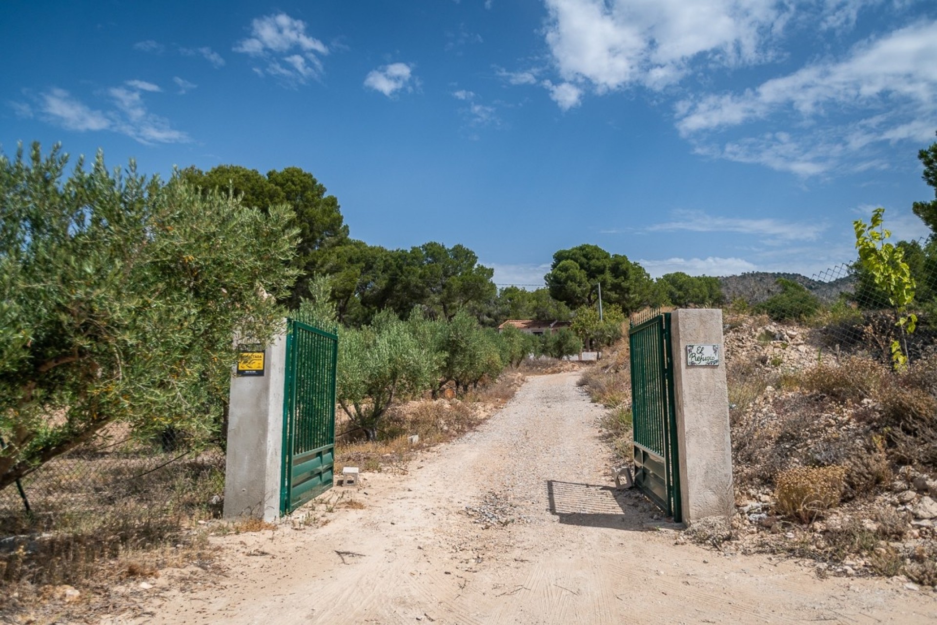Reventa - Villa -
LA TERCIA - La Tercia